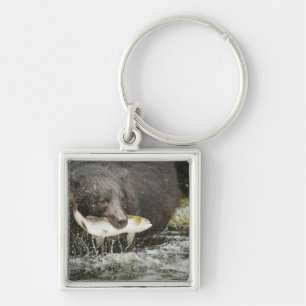 VS, Alaska, Anan Creek. Close-up van zwarte beer Sleutelhanger