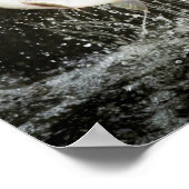 VS, Alaska, Anan Creek. Sluiting van het zwarte Be Poster (Hoek)