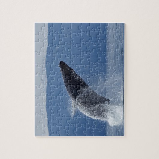 VS, Alaska, Angoon, Humpback Whale (Megaptera) Legpuzzel (Verticaal)