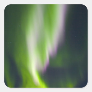 VS, Alaska, Chena Hot Springs. Aurora Borealis Vierkante Sticker