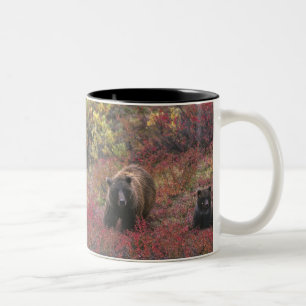 VS, Alaska, Denali National Park. Grizzlybeer Tweekleurige Koffiemok