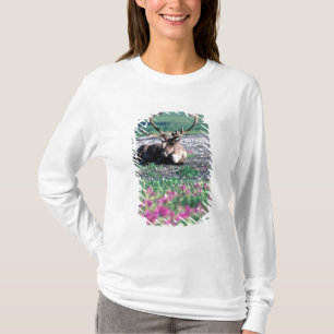 VS, Alaska, Denali National Park, Kariboe T-shirt