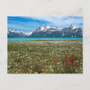 VS, Alaska, Glacier Bay National Park 2 Briefkaart