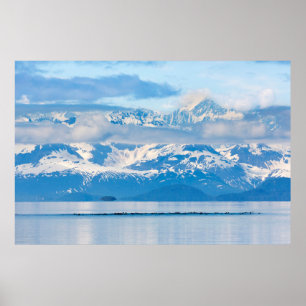 VS, Alaska, Glacier Bay National Park 6 Poster