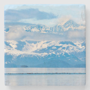 VS, Alaska, Glacier Bay National Park 7 Stenen Onderzetter