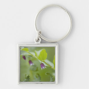 VS, Alaska, Glacier Bay National Park. Sleutelhanger