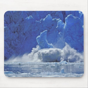VS, Alaska, Juneau. Deel van South Sawyer Muismat
