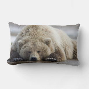 VS, Alaska, Katmai National Park, Bruine beer Kussen