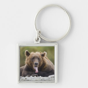 VS, Alaska, Katmai National Park, Kukak Bay, Sleutelhanger