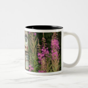 VS, Alaska, Ketchikan, Totem Bight State Tweekleurige Koffiemok