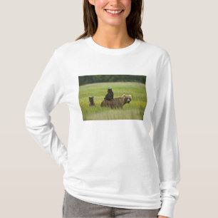 VS, Alaska, Lake Clark National Park T-shirt