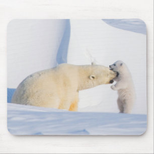 VS, Alaska, North Slope IJsberen Muismat