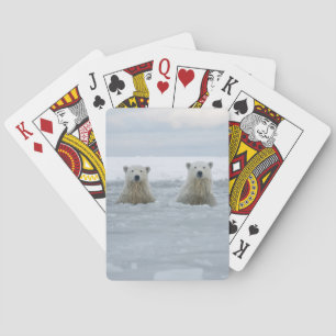 VS, Alaska, North Slope, IJsberen Pokerkaarten