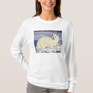 VS, Alaska. Poolvos in winterjas T-shirt