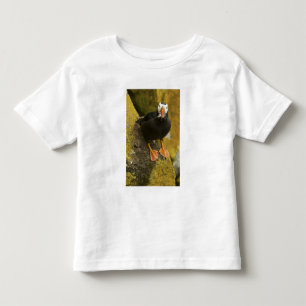 VS, Alaska, Pribilof-eilanden, St Paul. Kuif- Kinder Shirts