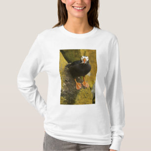 VS, Alaska, Pribilof-eilanden, St Paul. Kuif- T-shirt