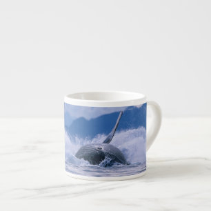 VS, Alaska, Tongass National Forest, Bultrug Espresso Kop