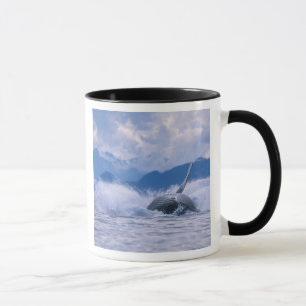 VS, Alaska, Tongass National Forest, Bultrug Mok