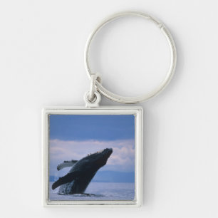 VS, Alaska, Tongass National Forest, Bultrug Sleutelhanger