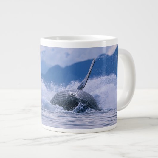 VS, Alaska, Tongass National Forest, Humpback Extra Grote Mok (Voorkant rechts)