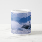 VS, Alaska, Tongass National Forest, Humpback Extra Grote Mok (Voorkant)