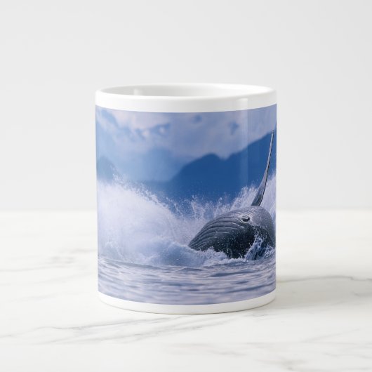 VS, Alaska, Tongass National Forest, Humpback Extra Grote Mok (Voorkant)