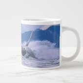 VS, Alaska, Tongass National Forest, Humpback Extra Grote Mok (Rechts)