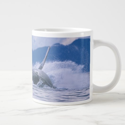 VS, Alaska, Tongass National Forest, Humpback Extra Grote Mok (Rechts)