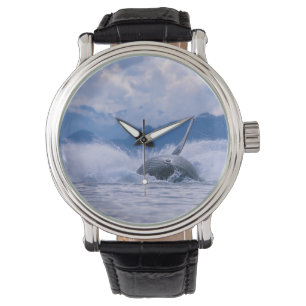 VS, Alaska, Tongass National Forest, Humpback Horloge