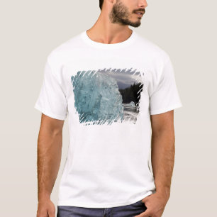 VS, Alaska, Tongass National Forest, Tracy 2 T-shirt