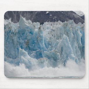 VS, Alaska, Tongass National Forest, Tracy Muismat