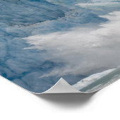 VS, Alaska, Tongass National Forest, Tracy Poster (Hoek)