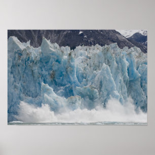VS, Alaska, Tongass National Forest, Tracy Poster