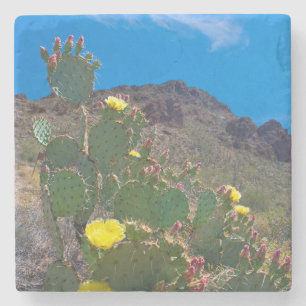 VS, Arizona. Cactus in de heuvels Stenen Onderzetter