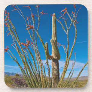 VS, Arizona. Cactus in het nationaal park Saguaro Onderzetter