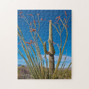 VS, Arizona. Cactus in Saguaro National Park Legpuzzel