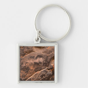 VS, Arizona, Coconino National Forest, Palatki Sleutelhanger