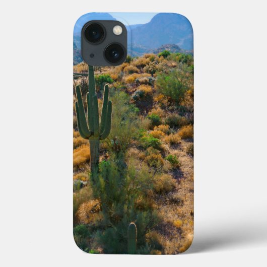 VS, Arizona. Desert View Case-Mate iPhone Case (Achterkant)