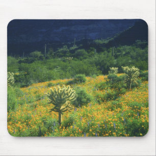 VS, Arizona, Nationaal park Organ Pipe Cactus Muismat