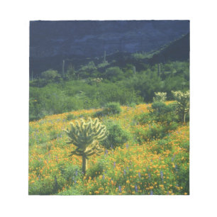 VS, Arizona, Nationaal park Organ Pipe Cactus Notitieblok