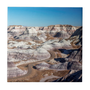 VS, Arizona, Nationaal park Petrified Forest Tegeltje