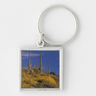 VS, Arizona, Organ Pipe Cactus National 2 Sleutelhanger