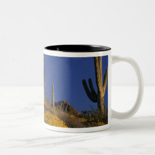 VS, Arizona, Organ Pipe Cactus National 2 Tweekleurige Koffiemok