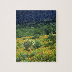 VS, Arizona, Organ Pipe Cactus National Legpuzzel
