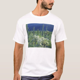VS, Arizona, Organ Pipe Cactus National T-shirt