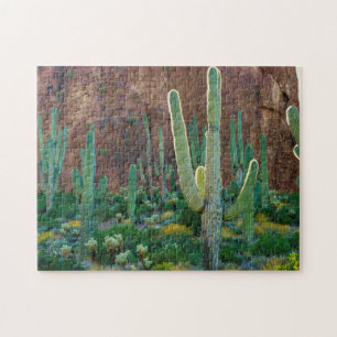 VS, Arizona. Saguaro Cactus veld door een Cliff Legpuzzel