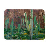 VS, Arizona. Saguaro Cactus veld door een Cliff Magneet (Horizontaal)