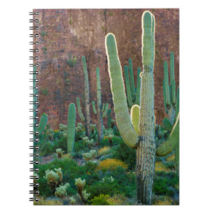 VS, Arizona. Saguaro Cactusveld bij een klif Notitieboek