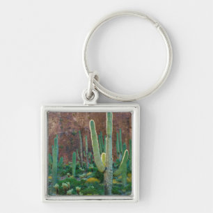VS, Arizona. Saguaroveld bij een klif Sleutelhanger
