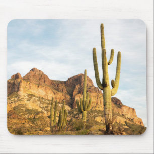 VS, Arizona, Tonto National Forest, Picketpost 2 Muismat